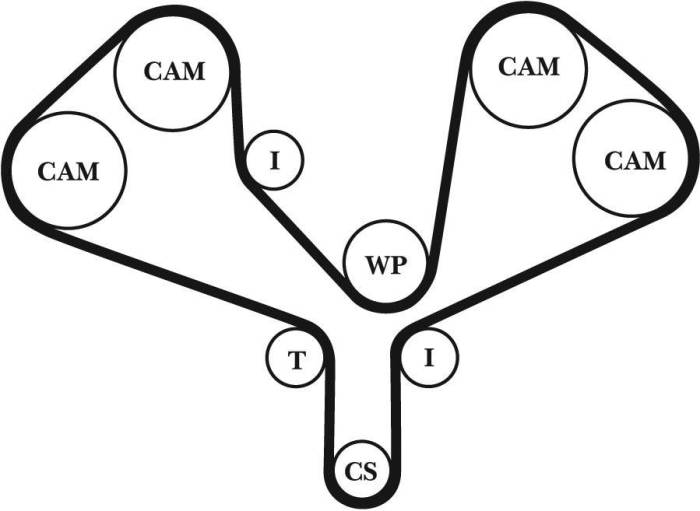 Gates - 2002-2005 Audi A4 3.0L Gates Automotive Timing Belt