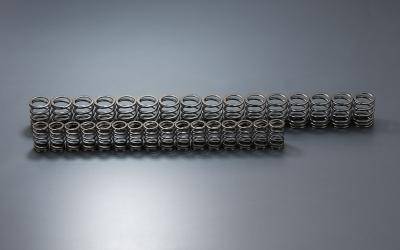 Toda - 1994-2001 Acura Integra GSR Toda Racing Valve Springs