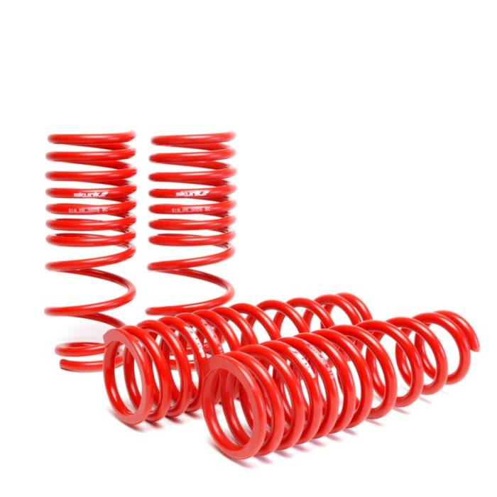 Skunk2 Racing - 1996-2000 Honda Civic Skunk2 Lowering Springs