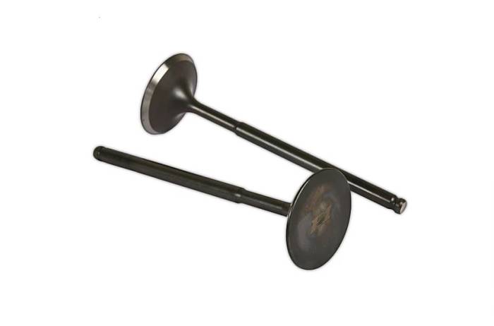 Buddy Club - Honda and Acura B16/B18 Buddy Club Racing Spec Valve Springs