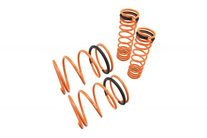 Megan Racing - 1989 - 1994 Nissan 240SX S13 Megan Lowering Springs 20LB