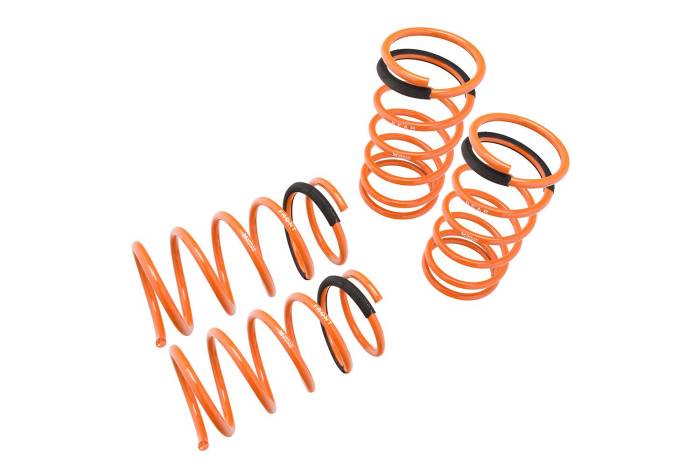 Megan Racing - 1989 - 1994 Nissan Sentra Megan Lowering Springs 23 LBS