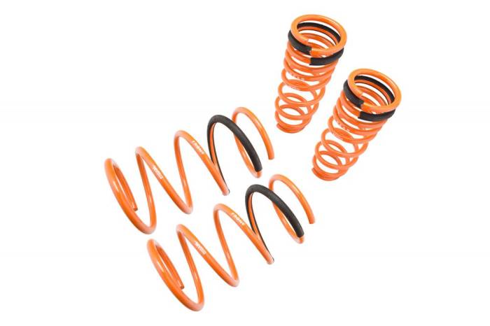 Megan Racing - 2000 - 2003 Nissan Maxima Megan Lowering Springs 27 LBs
