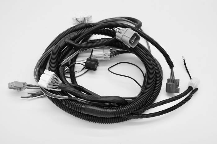 Hasport - 1999 - 2000 Honda Civic K Series Wiring Conversion - Hondata ECU