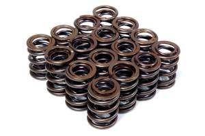 2000-2010 Honda s2000 Blox Racing Valve Springs