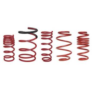 2002-2004 Acura RSX Skunk2 Lowering Springs