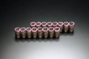 2003-2008 Acura TSX Toda Racing Valve Springs