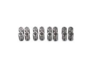 1989-1994 Nissan 240SX Toda Racing Valve Springs (SR20DE)