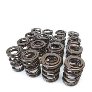 1992-1996 Honda Prelude Si VTEC Skunk2 F, H-Series VTEC Alpha Valve Springs