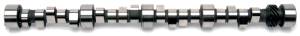 CAMSHAFT 2201