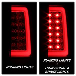 SPYDER - TailLight Assembly 5084095 - Image 12