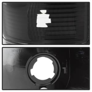 SPYDER - TailLight Assembly 5084149 - Image 6