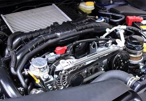 Perrin - 2015+ Subaru WRX Perrin Engine Cover Lockdown - Black Washers - Image 5