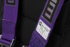 Braum - Braum 5 PT SFI Racing Harness - Purple - Image 3