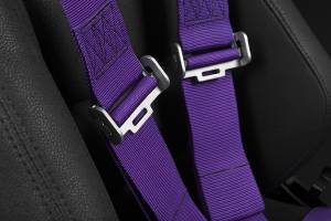 Braum - Braum 5 PT SFI Racing Harness - Purple - Image 4