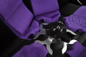 Braum - Braum 5 PT SFI Racing Harness - Purple - Image 6