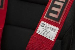 Braum - Braum 5 PT SFI Racing Harness - Red - Image 3