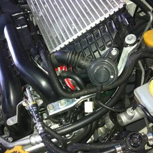 Mishimoto - 2015+ Subaru WRX Mishimoto Silicone Throttle Body Hose - Blue - Image 5