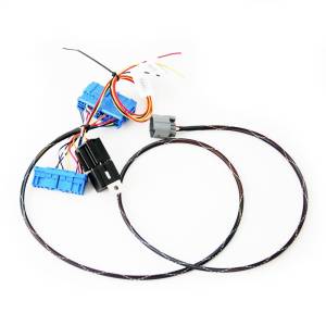 Hybrid Racing - 2001-2005 Honda Civic w/ K-Swap Hybrid Racing Conversion Wiring Harness - Image 1