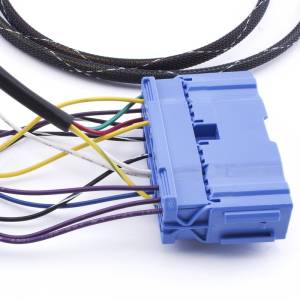 Hybrid Racing - 2001-2005 Honda Civic w/ K-Swap Hybrid Racing Conversion Wiring Harness - Image 4