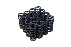 Honda/Acura Blox Racing Valve Springs for Honda D-Series SOHC VTEC (D16Z6-Y8)