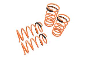 1989 - 1994 Nissan Sentra Megan Lowering Springs 23 LBS