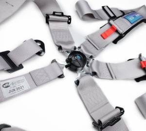 NRG Innovations - NRG 5pt 3inch Seat Belt Harness / Cam Lock - Silver - Image 2